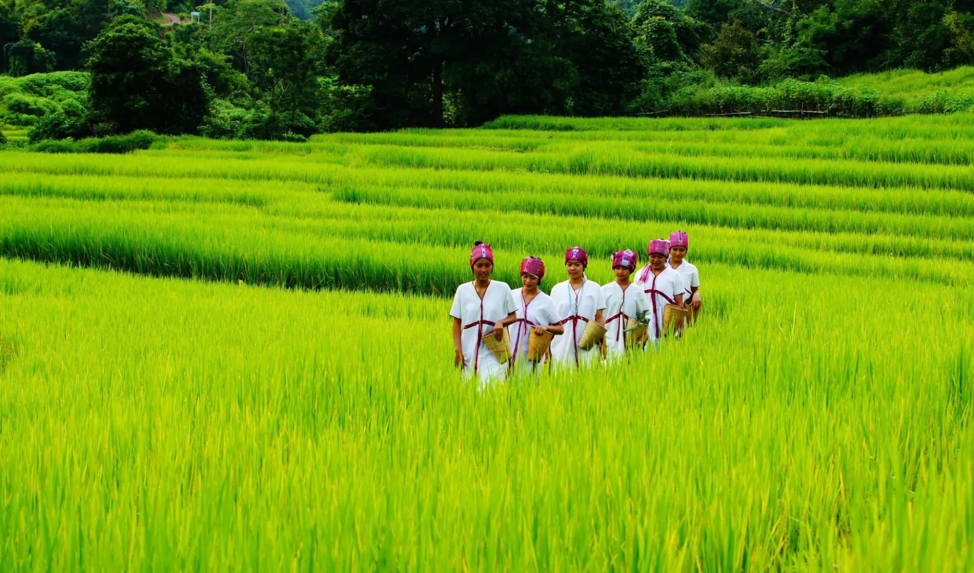 northern-thailand-hidden-world-of-hilltribes-39268